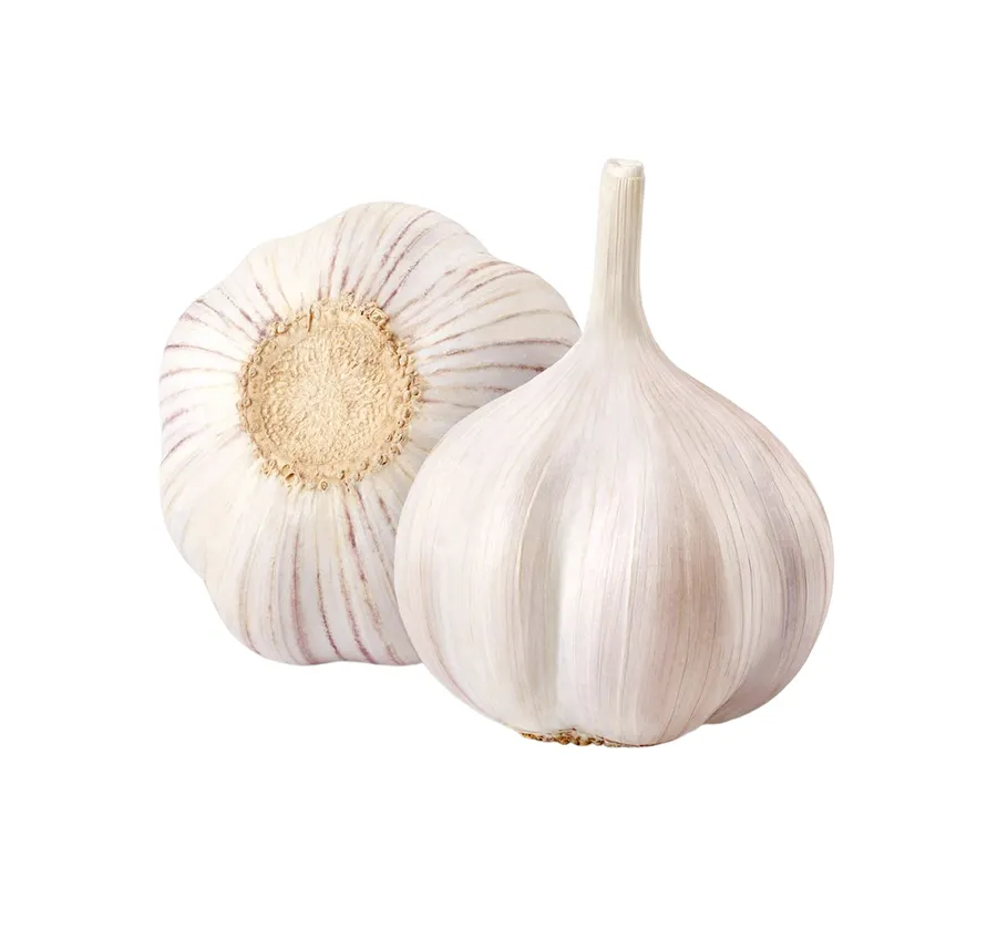 White Style Global Gap Garlic Price Fresh Normal Color Pure Snow Weight Origin Type Size Product Garlic