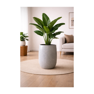 Macetas de Fibra de Vidrio de Diseño Nuevo, Ecológicas, Duraderas, para Decoración de Interiores y Exteriores, Hogar y Jardín, Precio al por Mayor - Product Image 1