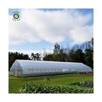 Bonne qualité nouveautés Serre agricole Tunnel Tunnel à travée unique Serre pour la culture de légumes