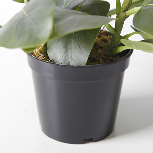 กระถางต้นไม้เทียมขนาดเล็ก15ซม. สำหรับตกแต่งห้องนั่งเล่นในร่ม - Product Image 5