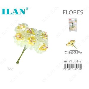 ILAN Mini Fiori Color Crema 6 Pezzi Decorazione con Fiori Artificiali Essiccati - Product Image 1