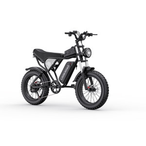 Vélo électrique longue portée L20 en stock UE, 48V 20Ah, 80Nm de couple, frein à disque hydraulique, Shimano 7 vitesses, E-Bike tout-terrain à pneus larges - Product Image 5
