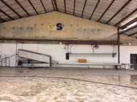 Système de convoyeur de triage de la viande pour l'abattoir d'usine alimentaire pour les moutons et les poulets