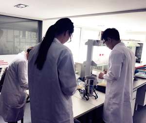 קרגינן טהור מזוכך באיכות מזון, אבקה משפרת, מתחלב ומייצב, בשק של 25 ק\\\"ג - Product Image 6