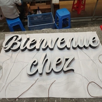 Logo du fabricant, lettres lumineuses personnalisées, étanches, LED 3D, signalétique extérieure en métal rétroéclairé, acier inoxydable, logo mural pour entreprise, logo de voiture