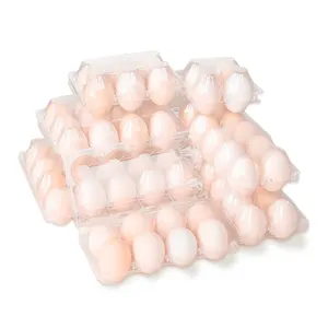 保鲜器可重复使用的耐用聚氯乙烯鸡蛋托盘一次性矩形鸡肉和鹌鹑盒，用于鸡蛋储存的泡罩包装