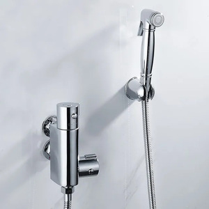 Распродажа, термостатический биде из нержавеющей стали - Product Image 2