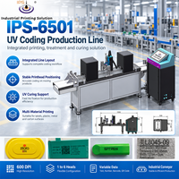 Mesin Cetak Karton Digital Inkjet IPS-6501 54.1mm Mesin Cetak Uv PIJ untuk Kayu Printer Inkjet Uv Kode QR 155m/menit