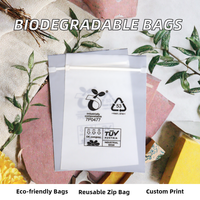 Sacs refermables compostables PLA biodégradables EN13432 imprimés sur mesure, givrés, 20x30cm, pour l'emballage d'appareils photo