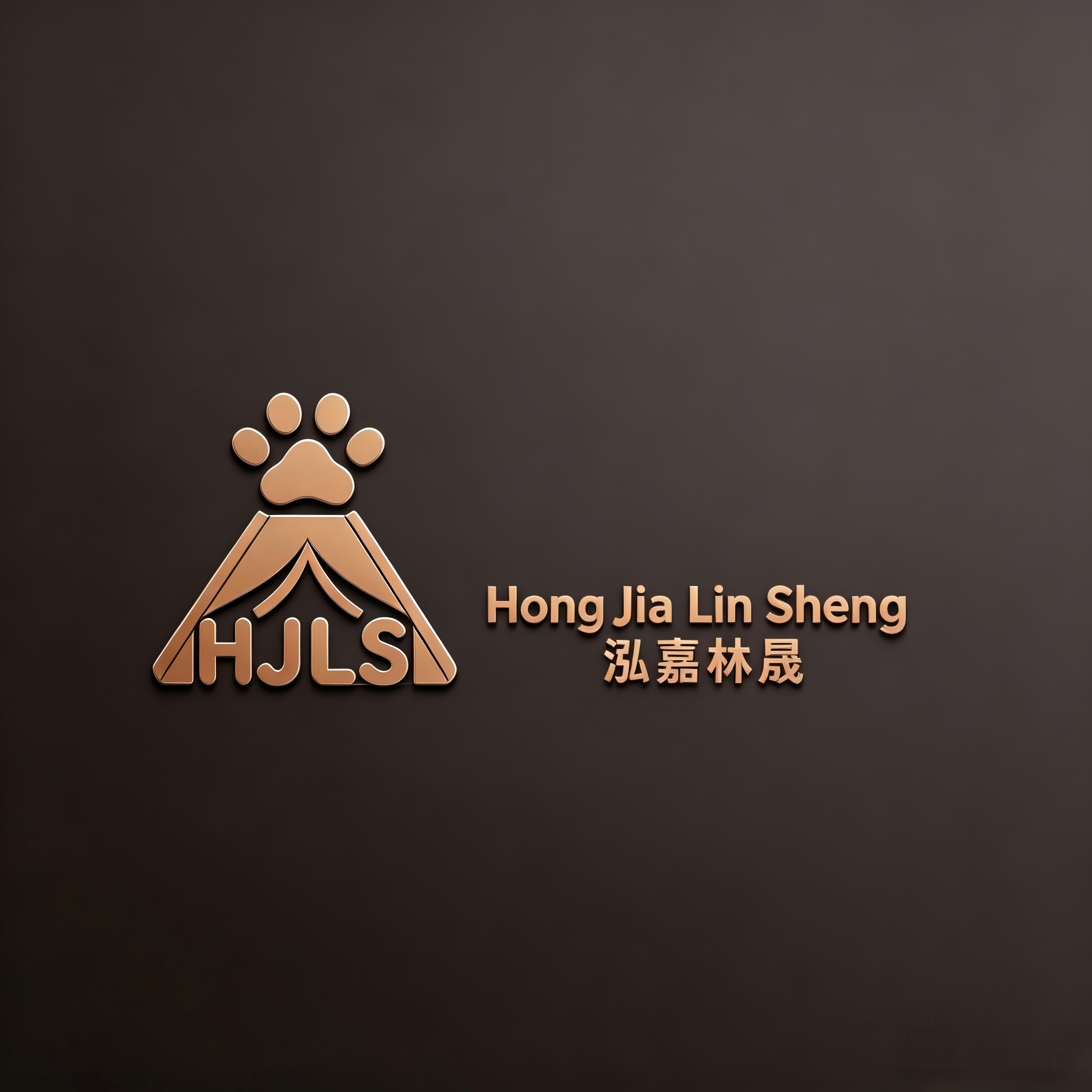 Shanghai Hongjialinsheng Technology Co., Ltd. logo