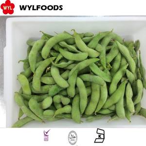 Gefrorenes congelados saludables Edamame suministro a granel Gefrorene Edamame Schoten para mercados mayoristas Gefrorenes Edamame Gemuse - Product Image 5