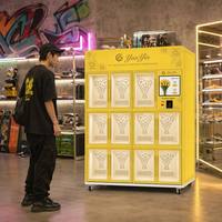 Kabinet Penjual Bunga Segar Otomatis Tanpa Awak Yunyin dengan 11 Slot, Pendingin Kompresor & 4G/Wi-Fi untuk Tempat di Plaza & Stasiun Kereta Bawah Tanah