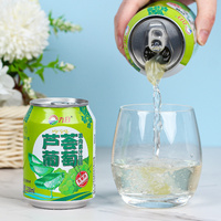 JIUR Boisson rafraîchissante à l'aloe vera et au raisin, ISO HALAL, stérilisée, 238 ml, jus de fruits prêt à boire, très vendue