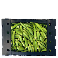 Boîte d'emballage en plastique recyclable et durable Headyphoon pour l'emballage de l'okra