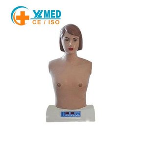 <span class=keywords><strong>Mannequin</strong></span> d'auscultation cardio-pulmonaire féminin CE ISO, torse d'entraînement médical pour l'enseignement des sons cardiaques et pulmonaires en soins infirmiers - Product Image 1