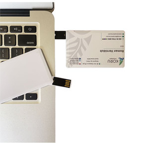 Clé USB pivotante 2.0 en plastique, style <span class=keywords><strong>carte</strong></span> <span class=keywords><strong>de</strong></span> <span class=keywords><strong>visite</strong></span>, avec logo personnalisé gratuit, 1 Go, 2 Go, 4 Go, 8 Go, 16 Go, vente en gros, prix abordable - Product Image 6