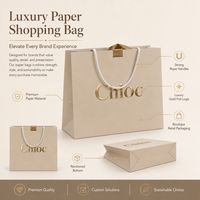 Sacs de courses en papier recyclables avec poignée torsadée et impression de logo personnalisé pour les magasins de détail et la promotion de la marque