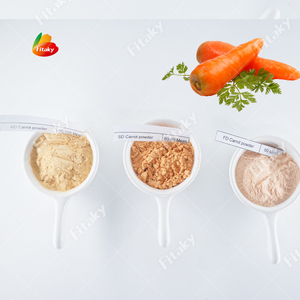 Prezzo all'ingrosso succo di carota in polvere AD carota in polvere prezzo a buon mercato carota verdura in polvere - Product Image 1