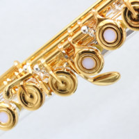 China Factory Professional Transverse Flute Open Hole Design Cupronickel Silver & Gold Plated High Quality Flute