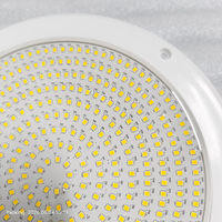 Luz LED Sumergible para Piscina YK-SP615 de 25W, Blanca, de Montaje en Pared, 12V, IP68, Impermeable, con Control Remoto y Regulable, Diseño Nuevo de Fábrica