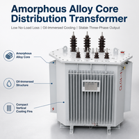 Transformateur de distribution amorphe 1600 kVA, triphasé, à noyau bobiné 3D, immergé dans l'huile, norme IEC60076, tension KVA personnalisée