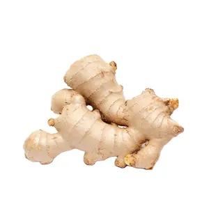 New season fresh ginger air dried ginger supply from Chinese ginger wholesale supplier