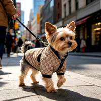 Manteau d'hiver pour chien en coton de luxe avec logo personnalisé, matériau écologique pour toutes les tailles, fabricant en gros