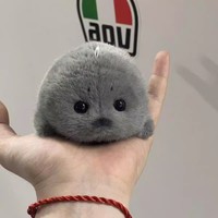 Porte-clés en peluche phoque mignon, boule moelleuse, poupée rembourrée en coton PP doux, animal marin, breloque de sac, jouet en peluche pour machine à griffes