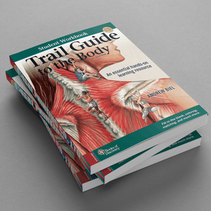 <span class=keywords><strong>Libro</strong></span> de Trabajo para Estudiantes del Guía del <span class=keywords><strong>Cuerpo</strong></span> Humano de Biel, 6.ª Edición, Tapa Blanda, <span class=keywords><strong>Libro</strong></span> de Texto Médico, Encuadernación Perfecta, Impresión de Libros Personalizada - Product Image 5