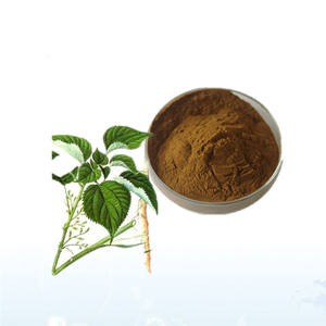 Poudre d'extrait de racine d'<span class=keywords><strong>ortie</strong></span> naturelle 10:1 20:1, conditionnée sous vide en fût, qualité pharmaceutique, extraction par solvant - Product Image 4