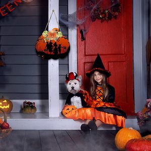 Ensemble de citrouilles en bois inachevé pour Thanksgiving transfrontalier, décoration de fête d'Halloween, artisanat mural en bois à faire soi-même - Product Image 3