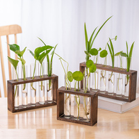 Support en bois pour plantes hydroponiques, table en verre pour plantes, vase à fleurs, terrarium, support pour tubes à essai, station de propagation pour la décoration de la maison