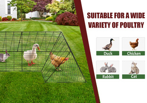 Tunnel de poulet <span class=keywords><strong>portable</strong></span> en fil métallique pour l'extérieur, grand poulailler avec course - Product Image 3