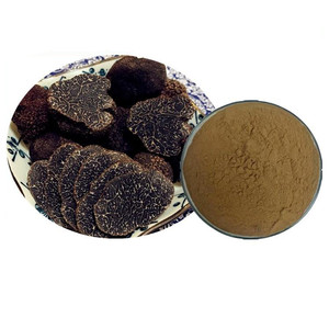 <span class=keywords><strong>Poudre</strong></span> d'extrait <span class=keywords><strong>de</strong></span> <span class=keywords><strong>truffe</strong></span> noire <span class=keywords><strong>de</strong></span> Tuber Melanosporum, approvisionnement d'usine - Product Image 2