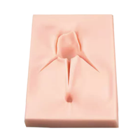 Modelo de Silicona para Práctica de Sutura de Episiotomía, Almohadilla de Simulación de Perineo para Enseñanza de Sutura Obstétrica