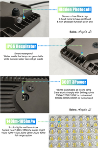 ตลาดยุโรป ฝรั่งเศส สเปน อิตาลี ไฟถนน LED แบบไม่มีแสงกระพริบ มาตรฐาน CE กำลังไฟ 100w-300w 140-170lm/w 20kv สำหรับที่อยู่อาศัยและพื้นที่สาธารณะ - Product Image 4