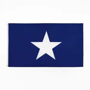 Huiyi bendera negara grosir untuk anak-anak promosi dekorasi poliester 3X5Ft Bonnie biru bendera semua negara