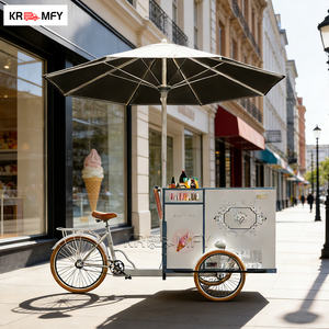 Chariot mobile de vente de glaces, de sucettes glacées et de gelato, en fibre de verre et acier inoxydable, électrique - Product Image 2