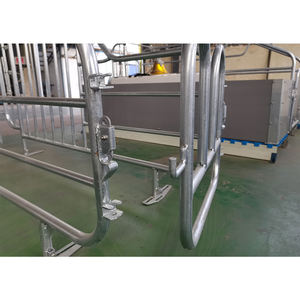 Nuevo equipo para animales, jaulas de gestación para cerdas para granja porcina - Product Image 4