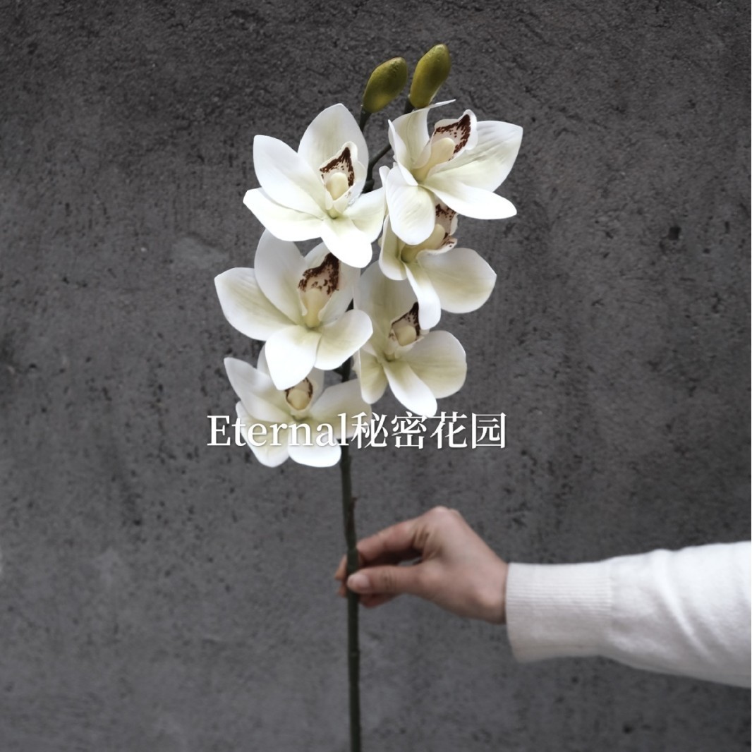 Orquídea cymbidium blanco-verde