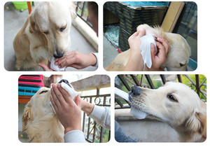 Lingettes nettoyantes pour animaux de compagnie, sûres et douces, lingettes nettoyantes pour les yeux des chiots, lingettes sans alcool pour animaux de compagnie, hypoallergéniques, lingettes pour chats et chiens - Product Image 4