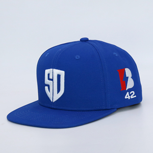 Personalizado bordado nuevo para hombre ala plana Bill Flatbill Snap Back Snapback Gorras ajustadas gorras sombreros para hombres Hombre con logotipo - Product Image 6