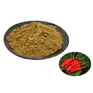 High Quality 4:1 Pepper Extract Powder Capsicum Extract Capsicum Powder
