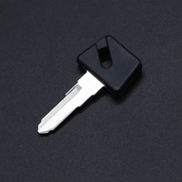 Porte-clés de voiture professionnel en usine, sans logo, avec tête en plastique Premium