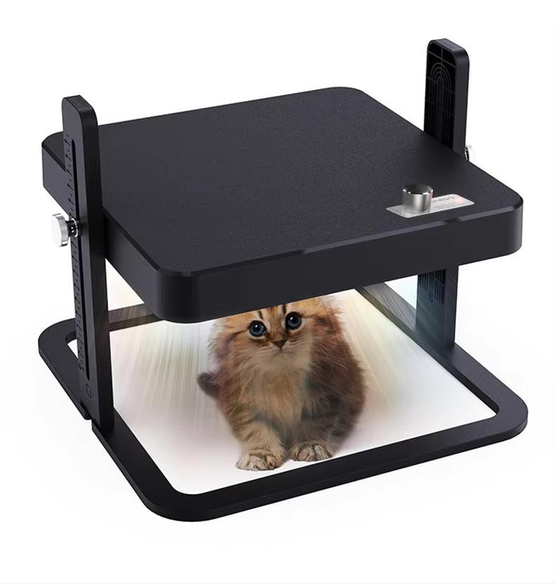 Comme image montrée