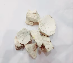 Vidarikand/pueraria tuberosa/อินเดีย Kudzu pueraria tuberosa อินเดีย - Product Image 3