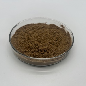 Polvo de Extracto de Hongo Chanterelle (Cantarina) al por Mayor, Polisacárido al 50% - Product Image 4