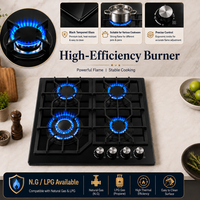 Table de cuisson à gaz encastrable 4 brûleurs haute efficacité énergétique OEM/ODM avec surface en verre 60CM pour usage domestique (GPL)