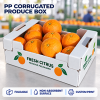 Vouwbare PP golfkartonnen fruit- en groentekisten op maat, met opdruk en handgrepen voor verpakking en distributie