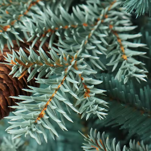 Sapin de Noël de luxe bleu-vert en PE et PVC mélangés, avec décorations de cône de pin, ornement de Noël, Arvore De Natal - Product Image 2